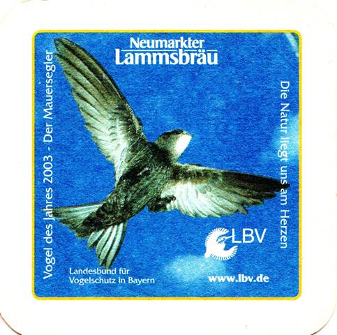 neumarkt nm-by lamms das feine 3b (quad185-mauersegler 2003)